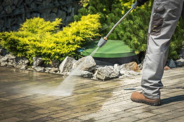 Best Sidewalk and Walkway Cleaning  in Muncie, IN